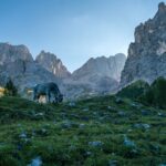 Ein Mann testet eine tragbare Outdoor-Hut im Gebirge, während er ihre Stabilität im Wind prüft und das Packmaß in seinem Rucksack zeigt.